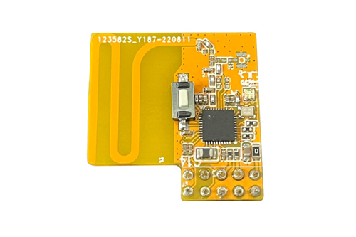 Z-Wave PI Module